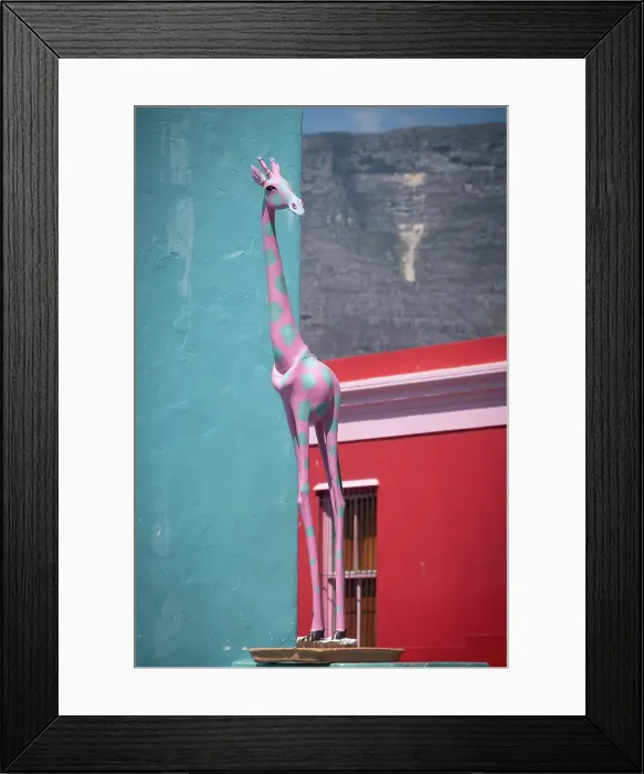 Framed Print : Bo-Kaap, Cape Town, Western Cape, South Africa