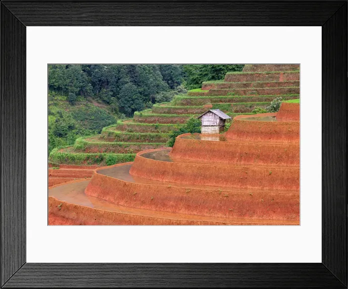 Framed Print : Rice terraces at Mu Cang Chai, Vietnam Framed Print : Rice terraces at Mu Cang Chai, Vietnam