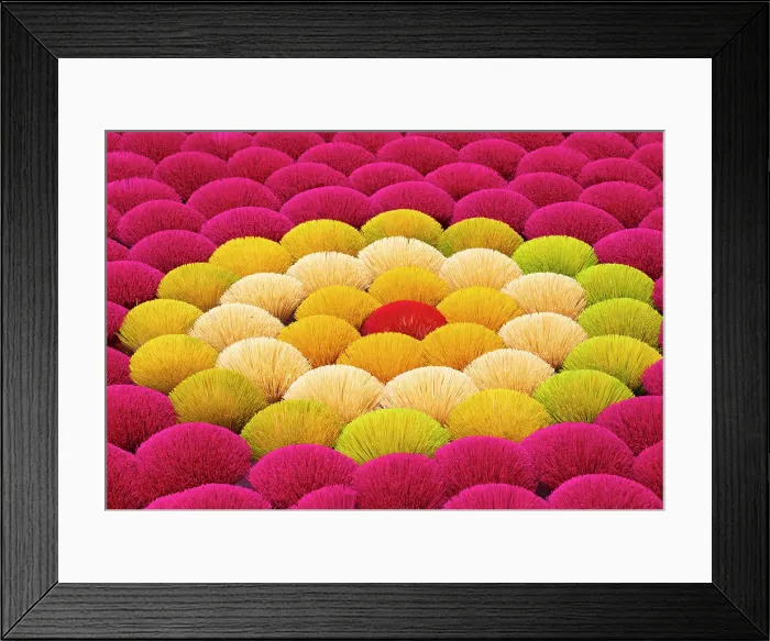 Framed Print : Colourful Incense sticks laid out to dry, Quang Phu Cau village, near Hanoi, Vietnam Framed Print : Colourful Incense sticks laid out to dry, Quang Phu Cau village, near Hanoi, Vietnam