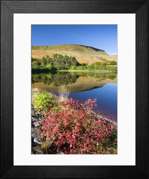 Framed Print : Autumn foliage on the shores of the Lower Neuadd Reservoir, with Graig Fan DDu escarpment beyond, Brecon Beacons National Park, Powys, Wales, UK. Autumn (October) 2009
