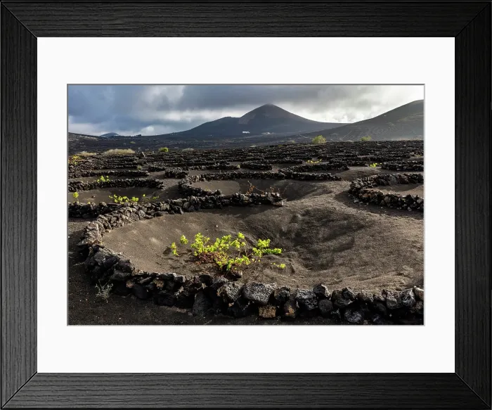 Framed Print : The vineyards and volcanic landscape of La Geria, Lanzarote, Canary Islands, Spain Framed Print : The vineyards and volcanic landscape of La Geria, Lanzarote, Canary Islands, Spain