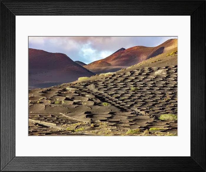 Framed Print : The vineyards and volcanic landscape of La Geria, Lanzarote, Canary Islands, Spain Framed Print : The vineyards and volcanic landscape of La Geria, Lanzarote, Canary Islands, Spain