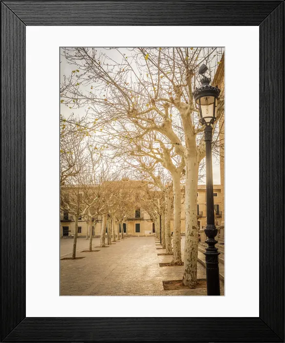 Framed Print : Winter atmosphere on the main square in front of the church of Binissalem, Mallorca, Balearic Islands, Spain Framed Print : Winter atmosphere on the main square in front of the church of Binissalem, Mallorca, Balearic Islands, Spain