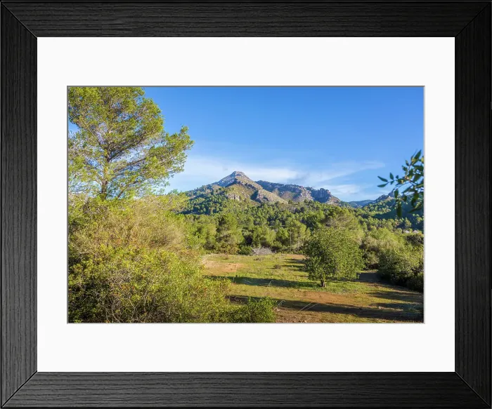 Framed Print : Natural landscape between Es Capdella and Finca Publica Galatzo, Mallorca, Balearic Islands, Spain Framed Print : Natural landscape between Es Capdella and Finca Publica Galatzo, Mallorca, Balearic Islands, Spain