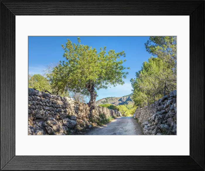 Framed Print : Path between Es Capdella and Finca Publica Galatzo, Mallorca, Balearic Islands, Spain Framed Print : Path between Es Capdella and Finca Publica Galatzo, Mallorca, Balearic Islands, Spain