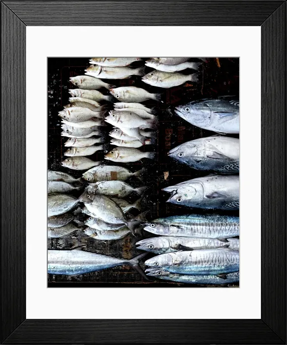 Framed Print : Fresh fish on display at local market, Stonetown. Zanzibar, Tanzania Framed Print : Fresh fish on display at local market, Stonetown. Zanzibar, Tanzania
