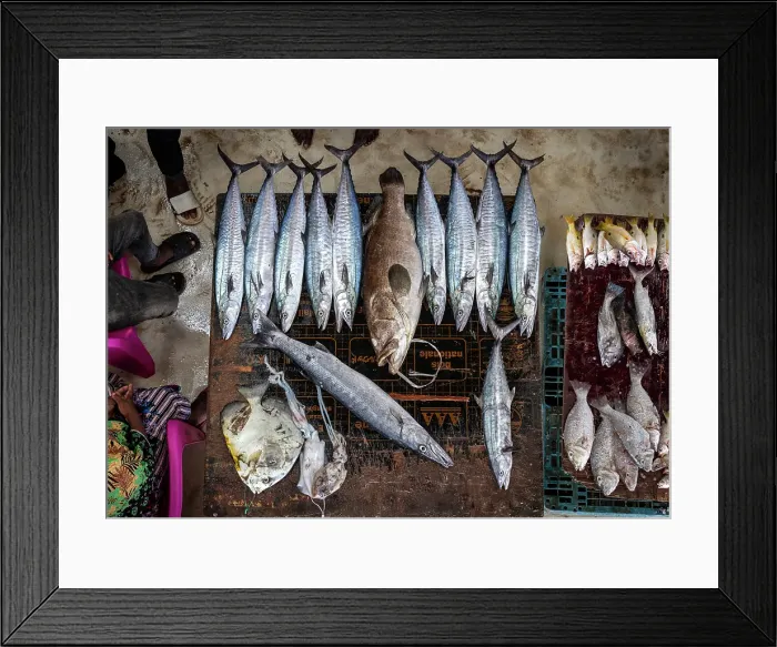 Framed Print : Fresh fish on display at local market, Stonetown. Zanzibar, Tanzania Framed Print : Fresh fish on display at local market, Stonetown. Zanzibar, Tanzania