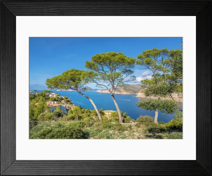 Framed Print : View of the bay of Port d`Andratx, Mallorca, Balearic Islands, Spain Framed Print : View of the bay of Port d`Andratx, Mallorca, Balearic Islands, Spain