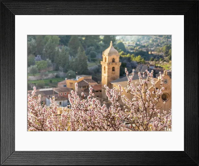 Framed Print : Church in the old town of Bunyola with blooming almond tree, Mallorca, Balearic Islands, Spain Framed Print : Church in the old town of Bunyola with blooming almond tree, Mallorca, Balearic Islands, Spain
