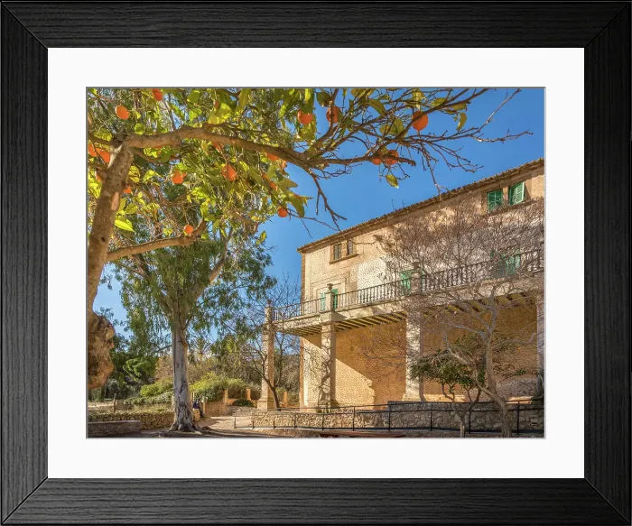 Framed Print : Orange tree with manor house of Finca Publica Galatzo, Mallorca, Balearic Islands, Spain