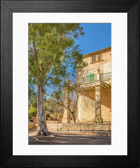 Framed Print : Eucalyptus tree with manor house of Finca Publica Galatzo, Mallorca, Balearic Islands, Spain Framed Print : Eucalyptus tree with manor house of Finca Publica Galatzo, Mallorca, Balearic Islands, Spain