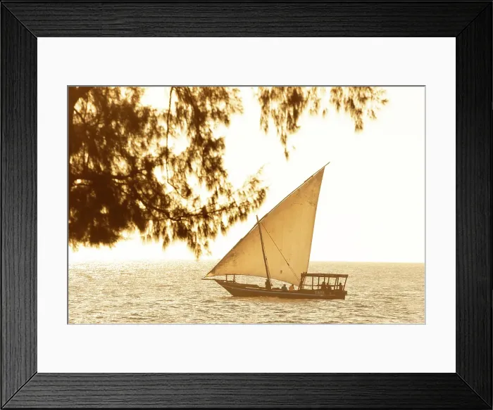 Framed Print : Dhow cruising along the coast at sunset, Nungwi, Zanzibar, Tanzania Framed Print : Dhow cruising along the coast at sunset, Nungwi, Zanzibar, Tanzania