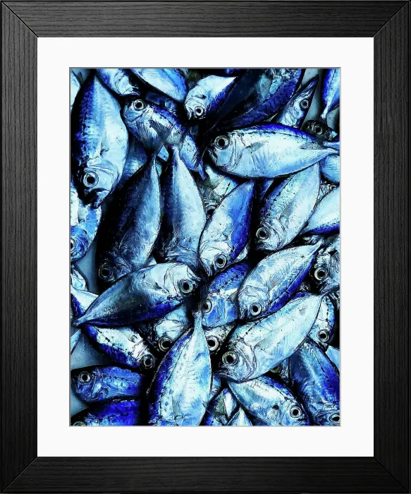 Framed Print : Fresh fish on display at local market, Stonetown. Zanzibar, Tanzania Framed Print : Fresh fish on display at local market, Stonetown. Zanzibar, Tanzania