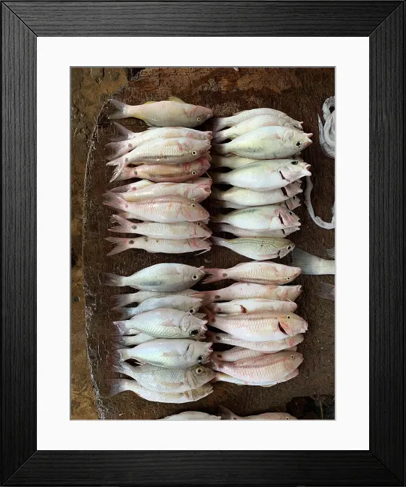 Framed Print : Fresh fish on display at local market, Stonetown. Zanzibar, Tanzania