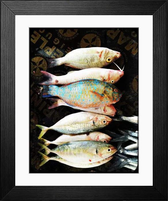 Framed Print : Fresh fish on display at local market, Stonetown. Zanzibar, Tanzania Framed Print : Fresh fish on display at local market, Stonetown. Zanzibar, Tanzania