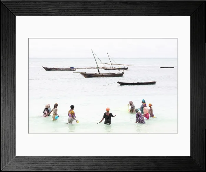 Framed Print : Localm women fishing in shallow water with a net, Nungwi, Zanzibar, Tanzania Framed Print : Localm women fishing in shallow water with a net, Nungwi, Zanzibar, Tanzania