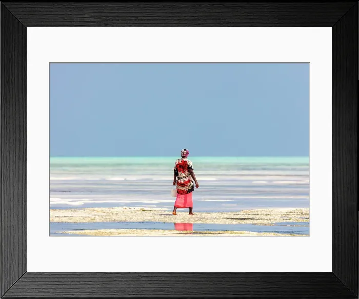 Framed Print : Women collecting shellfish, Jambiani, Zanzibar, Tanzania Framed Print : Women collecting shellfish, Jambiani, Zanzibar, Tanzania