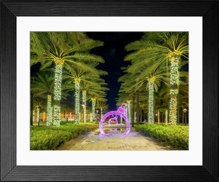 Framed Print : Christmas Ornaments Olas Boulevard, during the Christmas Holiday Season, Fort Lauderdale, Florida, USA Framed Print : Christmas Ornaments Olas Boulevard, during the Christmas Holiday Season, Fort Lauderdale, Florida, USA