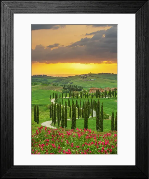 Framed Print : Winding road on the rolling hills of Tuscany near Asciano in Siena district, Italy Framed Print : Winding road on the rolling hills of Tuscany near Asciano in Siena district, Italy