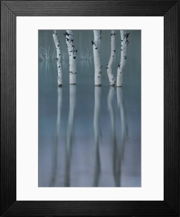 Framed Print : Abraham Lake, Clearwater County, Alberta, Canada Framed Print : Abraham Lake, Clearwater County, Alberta, Canada