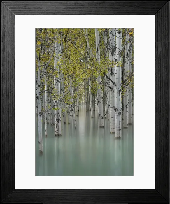 Framed Print : Abraham Lake, Clearwater County, Alberta, Canada Framed Print : Abraham Lake, Clearwater County, Alberta, Canada