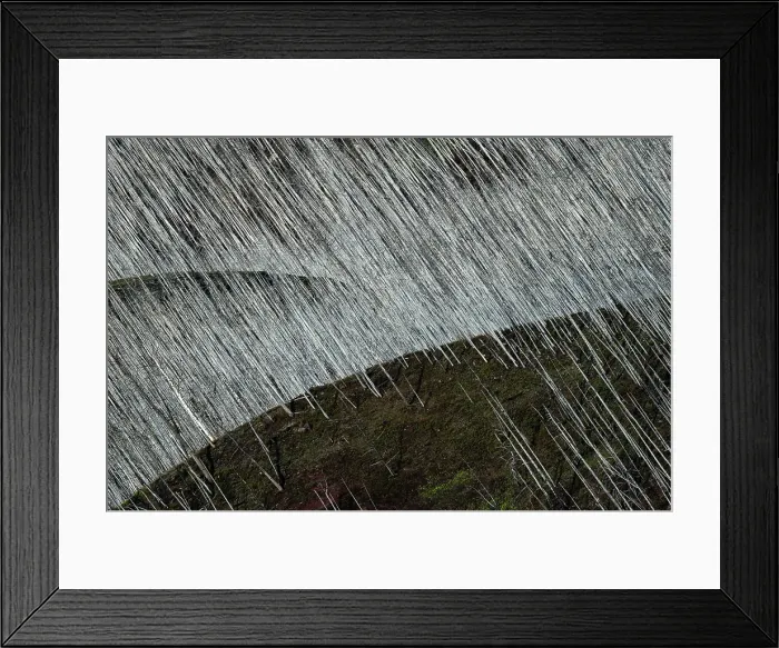 Framed Print : Burnt trees, Waterton Lakes National Park, Alberta, Canada Framed Print : Burnt trees, Waterton Lakes National Park, Alberta, Canada