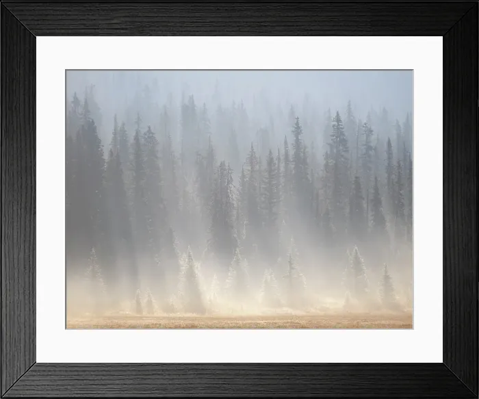 Framed Print : Banff National Park, Alberta, Canada Framed Print : Banff National Park, Alberta, Canada