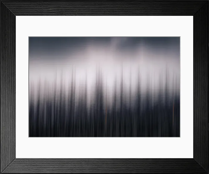 Framed Print : Burnt trees, British Columbia, Canada Framed Print : Burnt trees, British Columbia, Canada