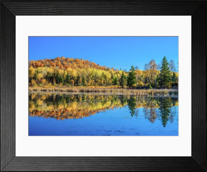 Framed Print : Autumn reflections in a beaver pond, Greater Sudbury, Ontario, Canada Framed Print : Autumn reflections in a beaver pond, Greater Sudbury, Ontario, Canada