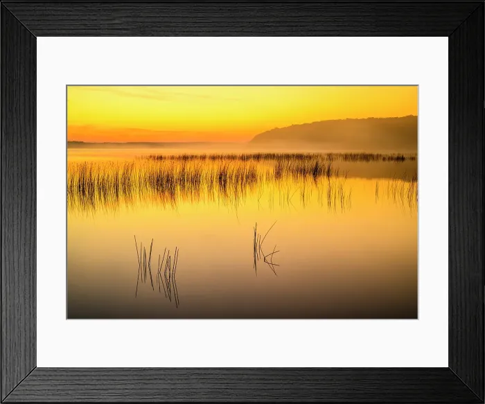 Framed Print : Dawn on Lake Mindemoya in autumn, Manitoulin Island- Mindemoya, Ontario, Canada Framed Print : Dawn on Lake Mindemoya in autumn, Manitoulin Island- Mindemoya, Ontario, Canada