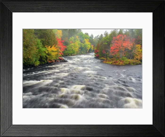 Framed Print : Pettawawa River with autumn foliage, Algonquin Provincial Park, Ontario, Canada Framed Print : Pettawawa River with autumn foliage, Algonquin Provincial Park, Ontario, Canada