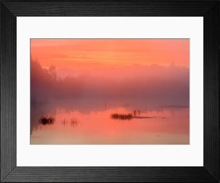 Framed Print : Dawn reflections in a misty beaver pond, Greater Sudbury, Ontario, Canada Framed Print : Dawn reflections in a misty beaver pond, Greater Sudbury, Ontario, Canada