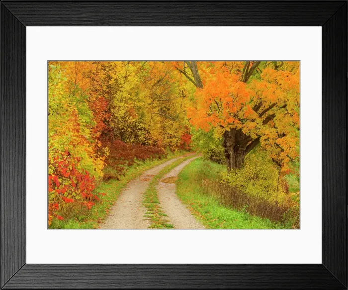 Framed Print : A laneway in autumn, Townline Road, Manitoulin Island, Ontario, Canada Framed Print : A laneway in autumn, Townline Road, Manitoulin Island, Ontario, Canada