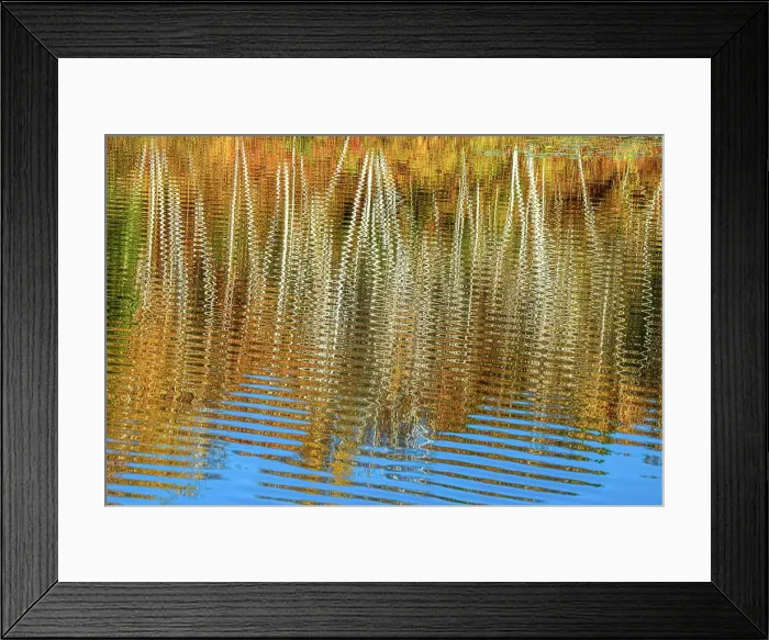 Framed Print : Autumn reflections in Ramsey Lake, Greater Sudbury, Ontario, Canada Framed Print : Autumn reflections in Ramsey Lake, Greater Sudbury, Ontario, Canada