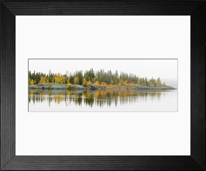 Framed Print : Autumn aspens reflected in foggy Range Lake, Yellowknife, Northwest Territories, Canada