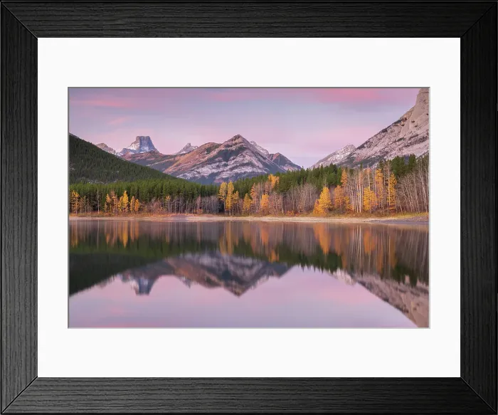 Framed Print : Pink dawn sky above Wedge Pond in Kananaskis Country, Alberta, Canada. Autumn (October) 2024 Framed Print : Pink dawn sky above Wedge Pond in Kananaskis Country, Alberta, Canada. Autumn (October) 2024