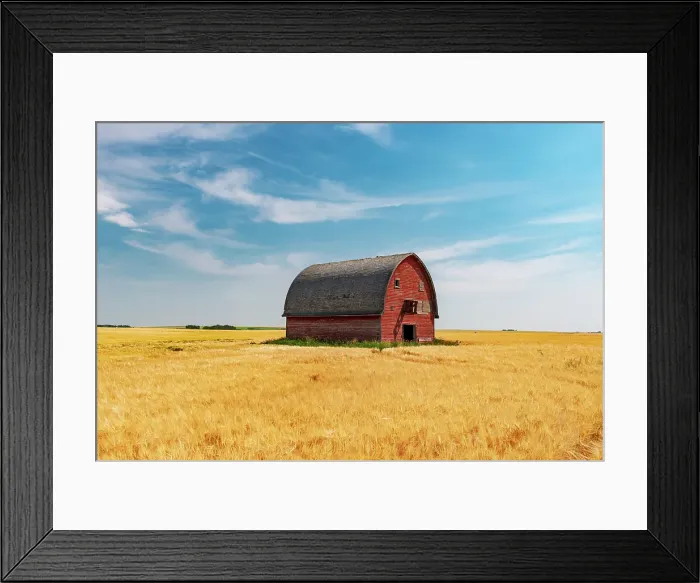 Framed Print : Red barn and grain crop Vulcan, Alberta, Canada Framed Print : Red barn and grain crop Vulcan, Alberta, Canada