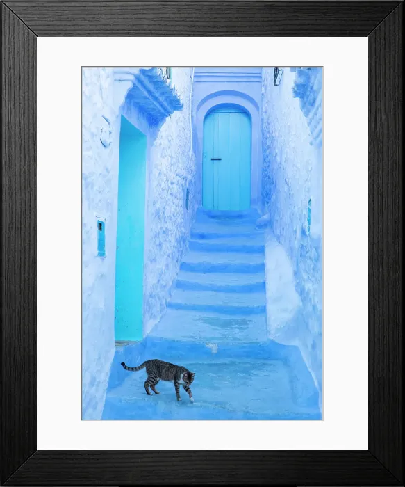 Framed Print : Typical street painted blue, with cat walking across it, Chefchaouen, Rif Mountain, Morocco Framed Print : Typical street painted blue, with cat walking across it, Chefchaouen, Rif Mountain, Morocco