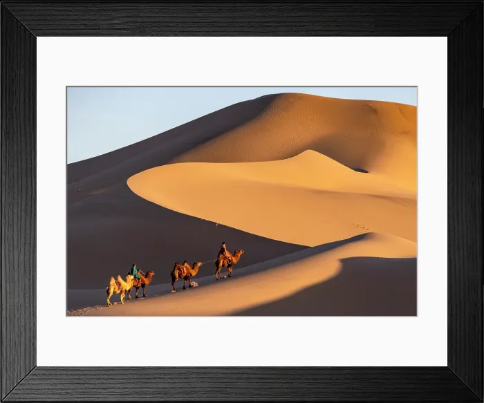 Framed Print : Camel herders and their camels in the Khongor Dunes, Gobi Desert, Mongolia, Asia Framed Print : Camel herders and their camels in the Khongor Dunes, Gobi Desert, Mongolia, Asia