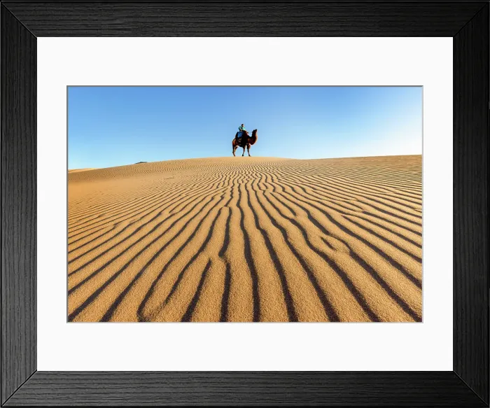Framed Print : Female camel herder sat on a camel in the Khongor Dunes, Gobi Desert, Mongolia, Asia Framed Print : Female camel herder sat on a camel in the Khongor Dunes, Gobi Desert, Mongolia, Asia