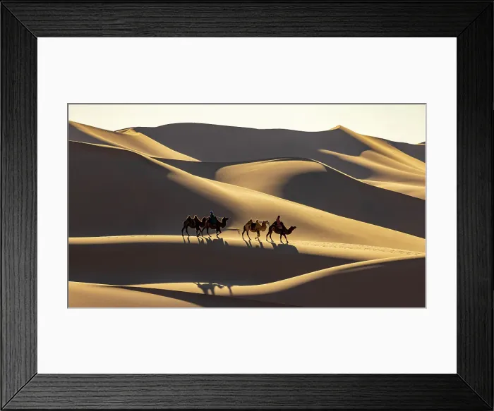 Framed Print : Camel herders and their camels in the Khongor Dunes, Gobi Desert, Mongolia, Asia Framed Print : Camel herders and their camels in the Khongor Dunes, Gobi Desert, Mongolia, Asia