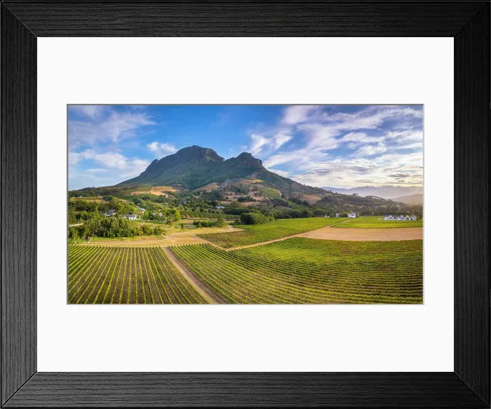 Framed Print : Vineyards of Stellenbosch & Simonsberg Mountain, Western Cape, South Africa Framed Print : Vineyards of Stellenbosch & Simonsberg Mountain, Western Cape, South Africa