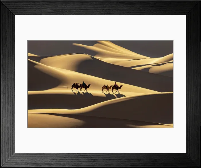 Framed Print : Camel herders and their camels in the Khongor Dunes, Gobi Desert, Mongolia, Asia Framed Print : Camel herders and their camels in the Khongor Dunes, Gobi Desert, Mongolia, Asia
