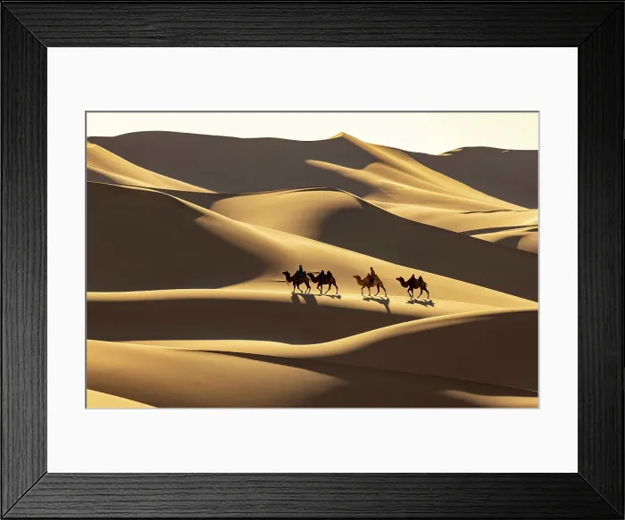 Framed Print : Camel herders and their camels in the Khongor Dunes, Gobi Desert, Mongolia, Asia Framed Print : Camel herders and their camels in the Khongor Dunes, Gobi Desert, Mongolia, Asia