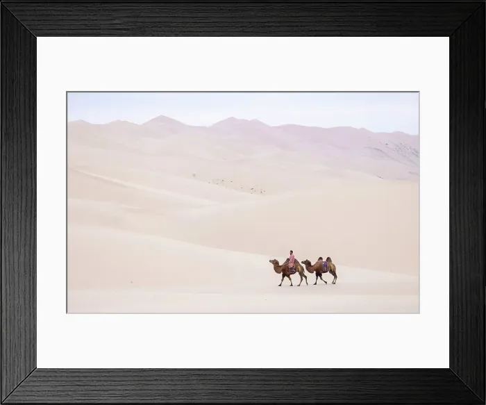 Framed Print : Camel herder and 2 camels in the Khongor Dunes, Gobi Desert, Mongolia, Asia Framed Print : Camel herder and 2 camels in the Khongor Dunes, Gobi Desert, Mongolia, Asia