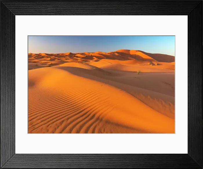 Framed Print : Orange sand dunes at sunrise, Erg Chebbi, Sahara Desert, near Merzouga, Morocco Framed Print : Orange sand dunes at sunrise, Erg Chebbi, Sahara Desert, near Merzouga, Morocco