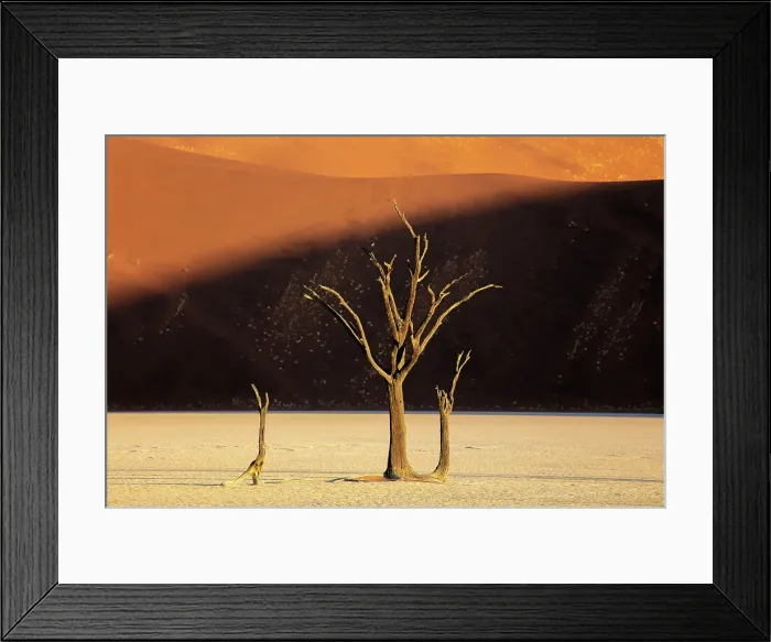 Framed Print : Dead camel thorn trees on a dried-up white mud pan & sand dunes, Dead Vlei, Namib-Naukluft National Park, Namib Desert, Namibia Framed Print : Dead camel thorn trees on a dried-up white mud pan & sand dunes, Dead Vlei, Namib-Naukluft National Park, Namib Desert, Namibia