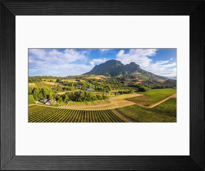 Framed Print : Vineyards of Stellenbosch & Simonsberg Mountain, Western Cape, South Africa Framed Print : Vineyards of Stellenbosch & Simonsberg Mountain, Western Cape, South Africa