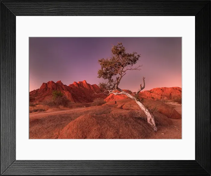 Framed Print : Ancient granite mountains and single tree at dusk, Spitzkoppe, Namib Desert, Namibia Framed Print : Ancient granite mountains and single tree at dusk, Spitzkoppe, Namib Desert, Namibia