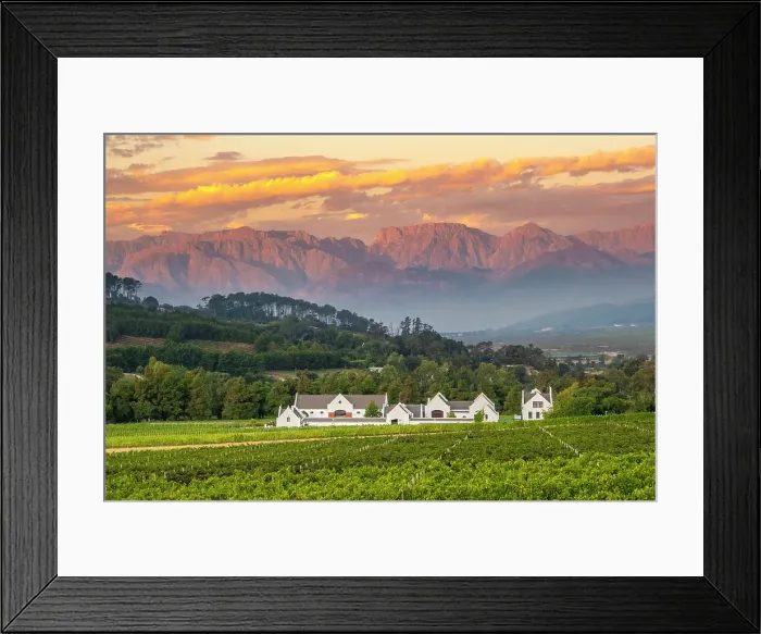 Framed Print : Zorgvliet Wine Estate, Stellenbosch, Western Cape, South Africa